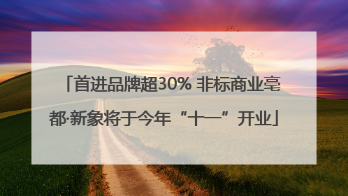 首进品牌超30% 非标商业亳都·新象将于今年“十一”开业