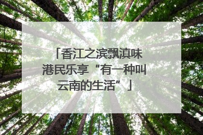 香江之滨飘滇味 港民乐享“有一种叫云南的生活”