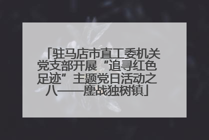 驻马店市直工委机关党支部开展“追寻红色足迹”主题党日活动之八——鏖战独树镇