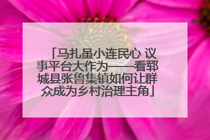 马扎虽小连民心 议事平台大作为——看郓城县张鲁集镇如何让群众成为乡村治理主角