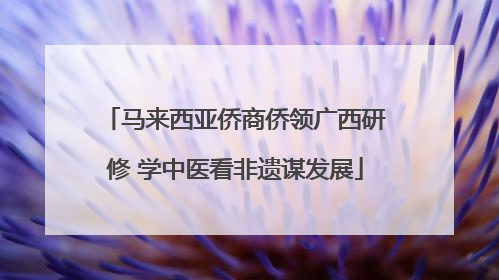 马来西亚侨商侨领广西研修 学中医看非遗谋发展