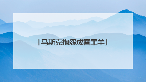 马斯克抱怨成替罪羊