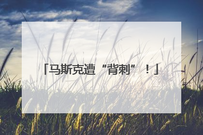 马斯克遭“背刺”！