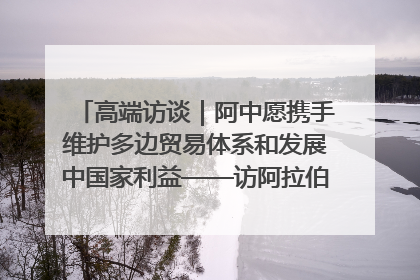 高端访谈｜阿中愿携手维护多边贸易体系和发展中国家利益——访阿拉伯议会议长亚马希