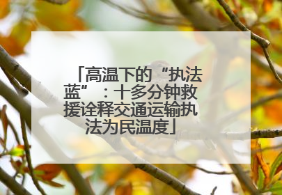 高温下的“执法蓝”：十多分钟救援诠释交通运输执法为民温度