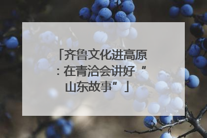 齐鲁文化进高原：在青洽会讲好“山东故事”