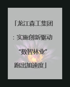 龙江森工集团：实施创新驱动 “数智林业”跑出加速度