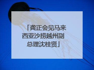 龚正会见马来西亚沙捞越州副总理沈桂贤