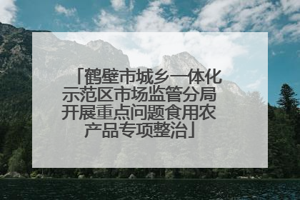 鹤壁市城乡一体化示范区市场监管分局开展重点问题食用农产品专项整治
