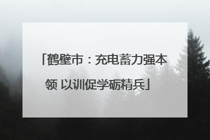 鹤壁市：充电蓄力强本领 以训促学砺精兵