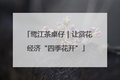 鹭江茶桌仔｜让赏花经济“四季花开”