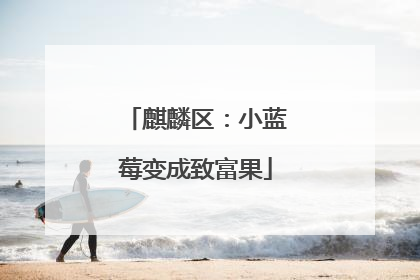 麒麟区：小蓝莓变成致富果