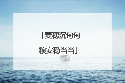 麦穗沉甸甸 粮安稳当当