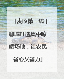 麦收第一线丨聊城打造集中晾晒场地，让农民省心又省力