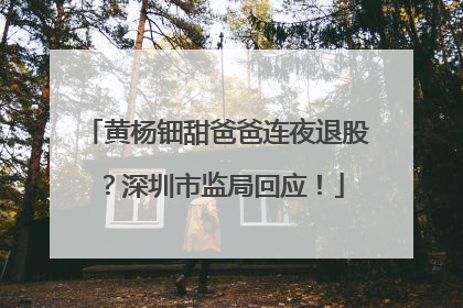 黄杨钿甜爸爸连夜退股？深圳市监局回应！