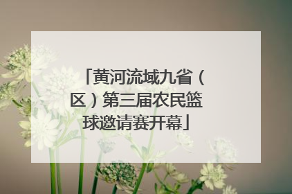 黄河流域九省（区）第三届农民篮球邀请赛开幕