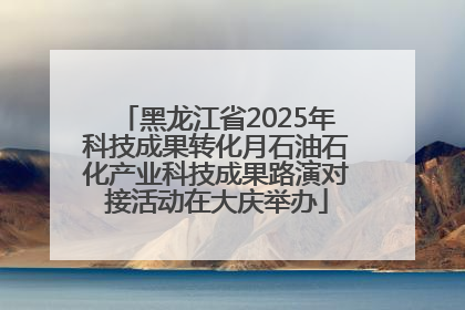 黑龙江省2025年科技成果转化月石油石化产业科技成果路演对接活动在大庆举办