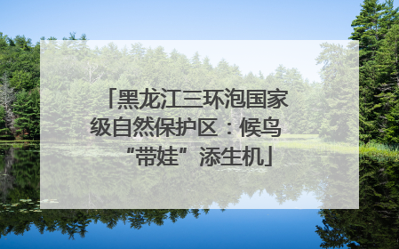 黑龙江三环泡国家级自然保护区：候鸟“带娃”添生机