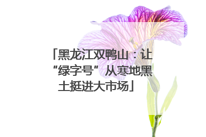 黑龙江双鸭山：让“绿字号”从寒地黑土挺进大市场