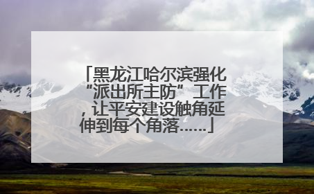 黑龙江哈尔滨强化“派出所主防”工作，让平安建设触角延伸到每个角落……