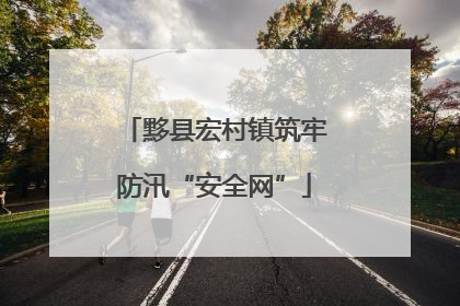 黟县宏村镇筑牢防汛“安全网”