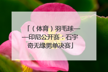 （体育）羽毛球——印尼公开赛：石宇奇无缘男单决赛