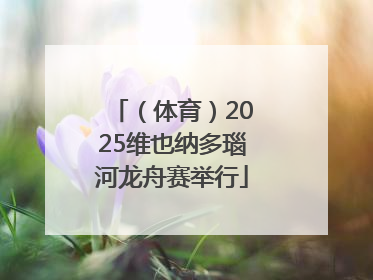 （体育）2025维也纳多瑙河龙舟赛举行