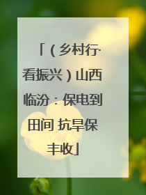 （乡村行·看振兴）山西临汾：保电到田间 抗旱保丰收