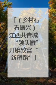（乡村行·看振兴）江西共青城“领头雁”开辟致富“新稻路”