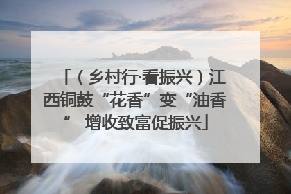 （乡村行·看振兴）江西铜鼓“花香”变“油香” 增收致富促振兴