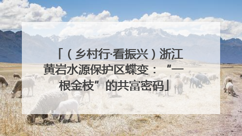 （乡村行·看振兴）浙江黄岩水源保护区蝶变：“一根金枝”的共富密码