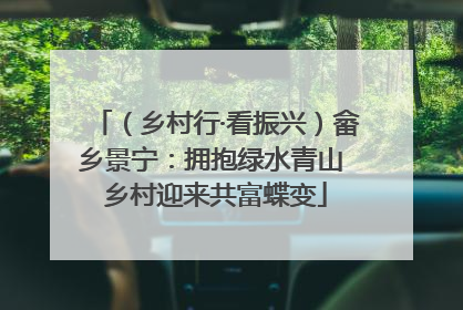（乡村行·看振兴）畲乡景宁：拥抱绿水青山 乡村迎来共富蝶变