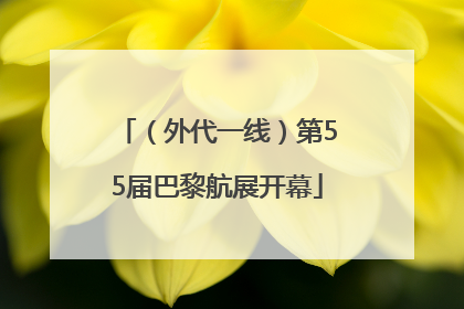 （外代一线）第55届巴黎航展开幕