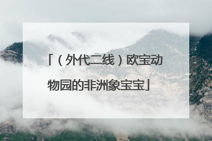 （外代二线）欧宝动物园的非洲象宝宝