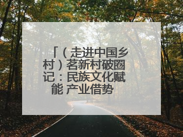 （走进中国乡村）茗新村破圈记：民族文化赋能 产业借势 “网红东风”