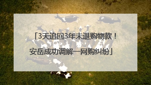 3天追回3年未退购物款！安岳成功调解一网购纠纷