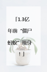 1.3亿年前“僵尸蚂蚁”现身！