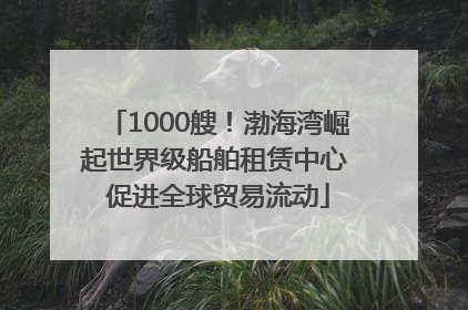1000艘！渤海湾崛起世界级船舶租赁中心 促进全球贸易流动