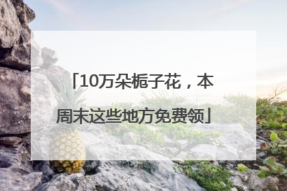 10万朵栀子花，本周末这些地方免费领