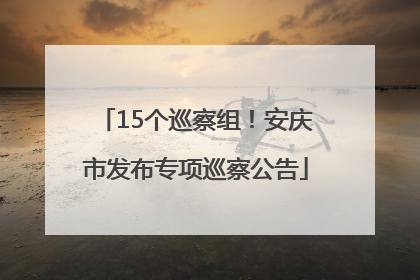 15个巡察组！安庆市发布专项巡察公告