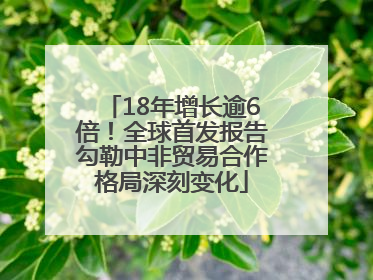 18年增长逾6倍！全球首发报告勾勒中非贸易合作格局深刻变化