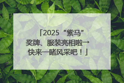 2025“紫马”奖牌、服装亮相啦→快来一睹风采吧！