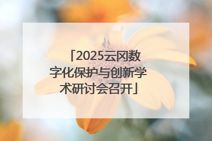 2025云冈数字化保护与创新学术研讨会召开