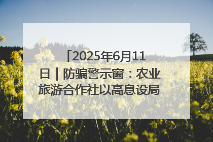 2025年6月11日｜防骗警示窗：农业旅游合作社以高息设局，集资380万