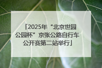 2025年“北京世园公园杯”京张公路自行车公开赛第二站举行