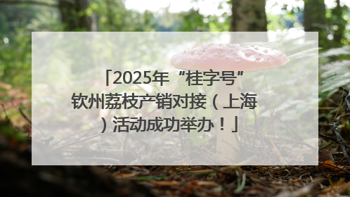 2025年“桂字号”钦州荔枝产销对接（上海）活动成功举办！