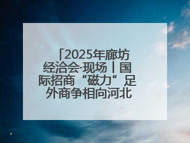 2025年廊坊经洽会·现场丨国际招商“磁力”足 外商争相向河北推介项目