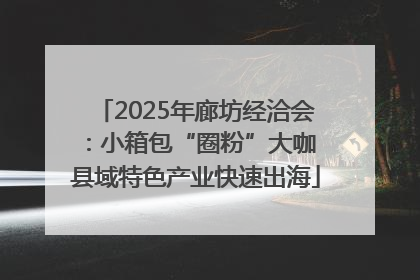 2025年廊坊经洽会：小箱包“圈粉”大咖 县域特色产业快速出海