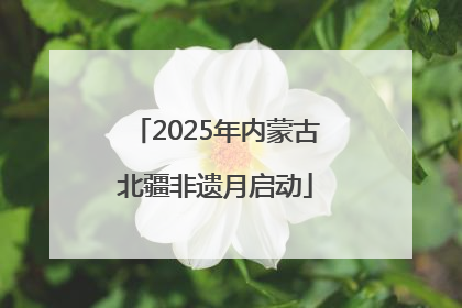2025年内蒙古北疆非遗月启动