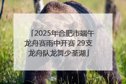 2025年合肥市端午龙舟赛雨中开赛 29支龙舟队龙舞少荃湖